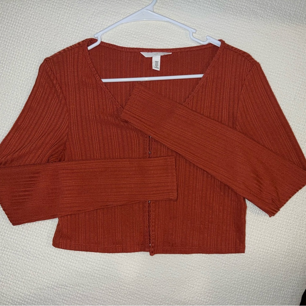 H&M Rust Ribbed Cropped Top